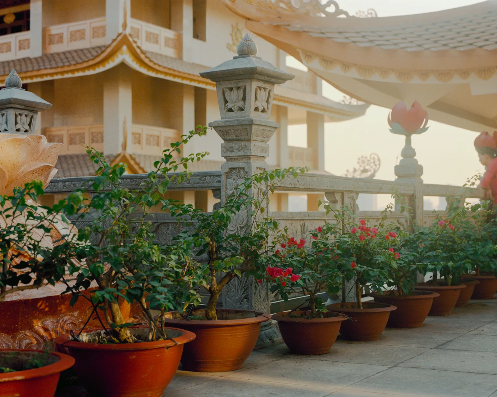 Saigon D2 Temple